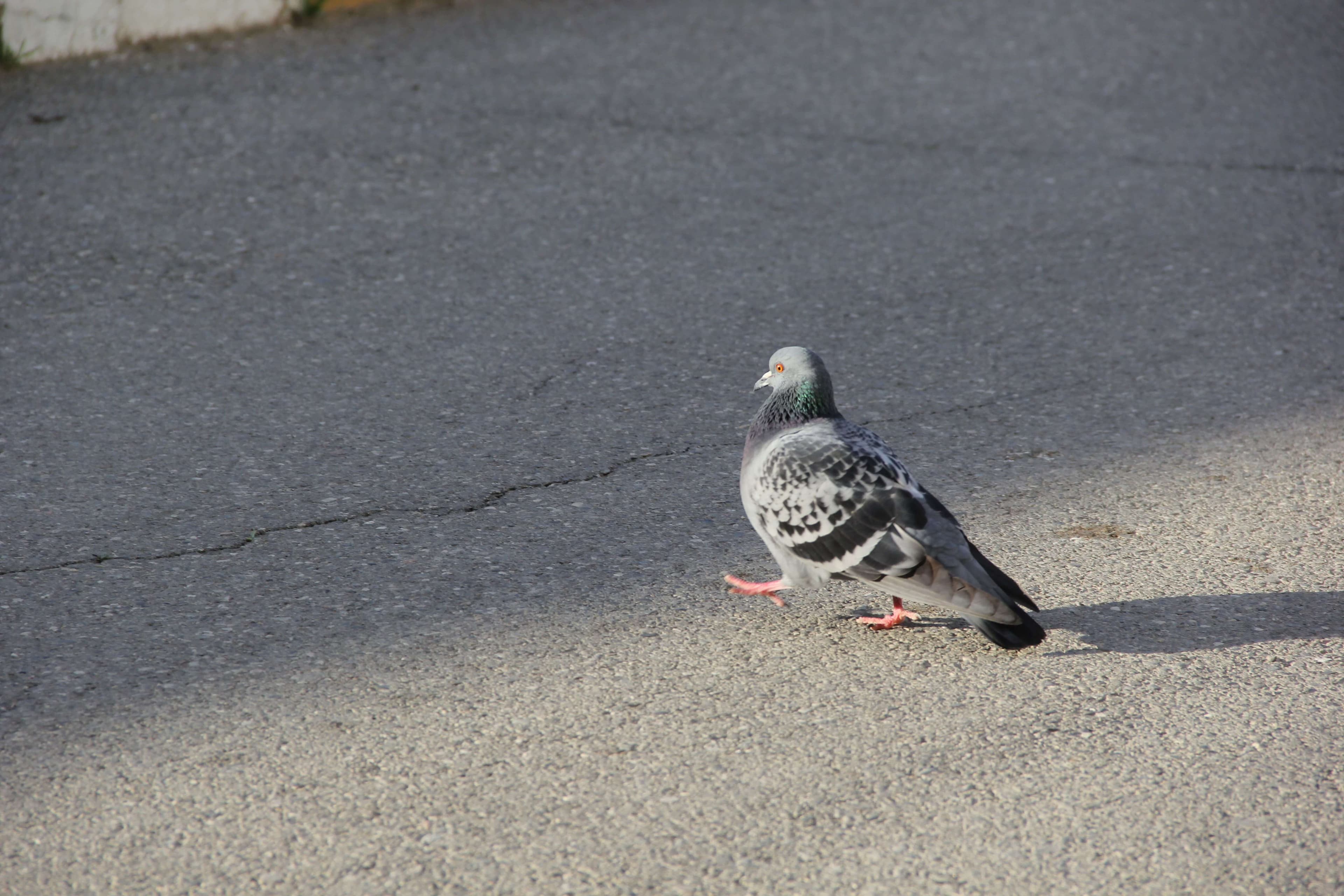 Baku Engineering University: Campus & Infrastructure Gallery 2025 - Image 27