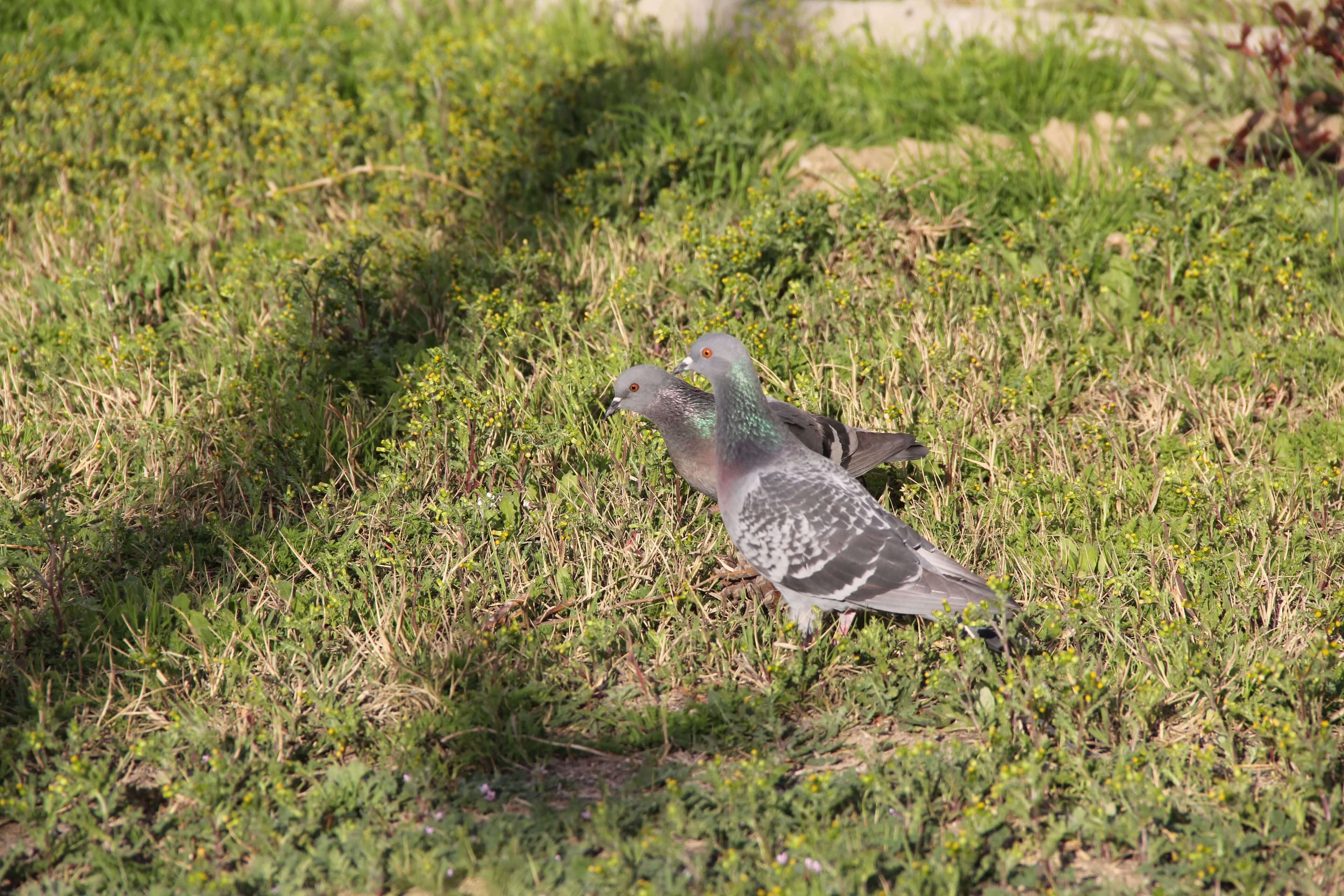 Baku Engineering University: Campus & Infrastructure Gallery 2025 - Image 28