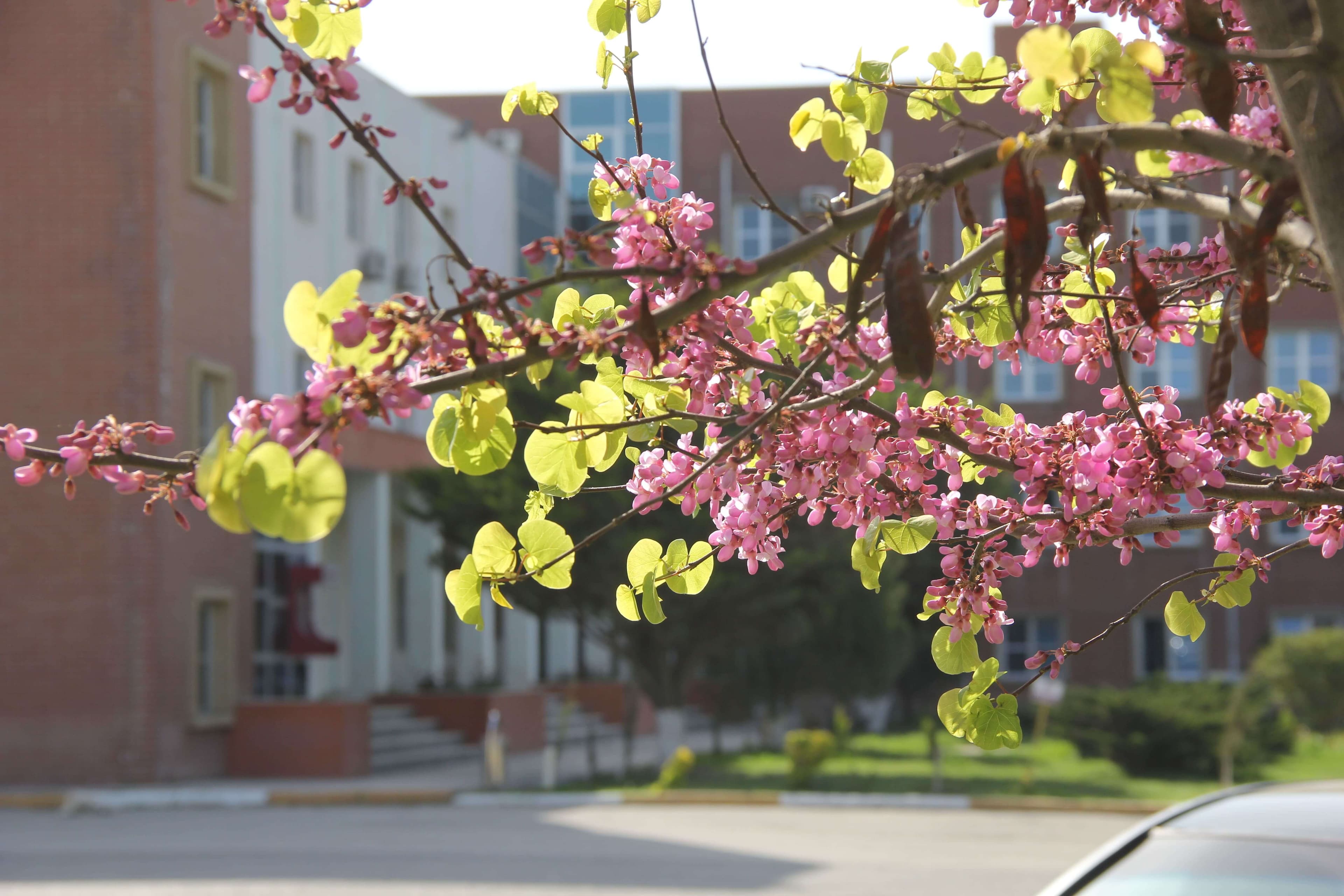 Baku Engineering University: Campus & Infrastructure Gallery 2025 - Image 29