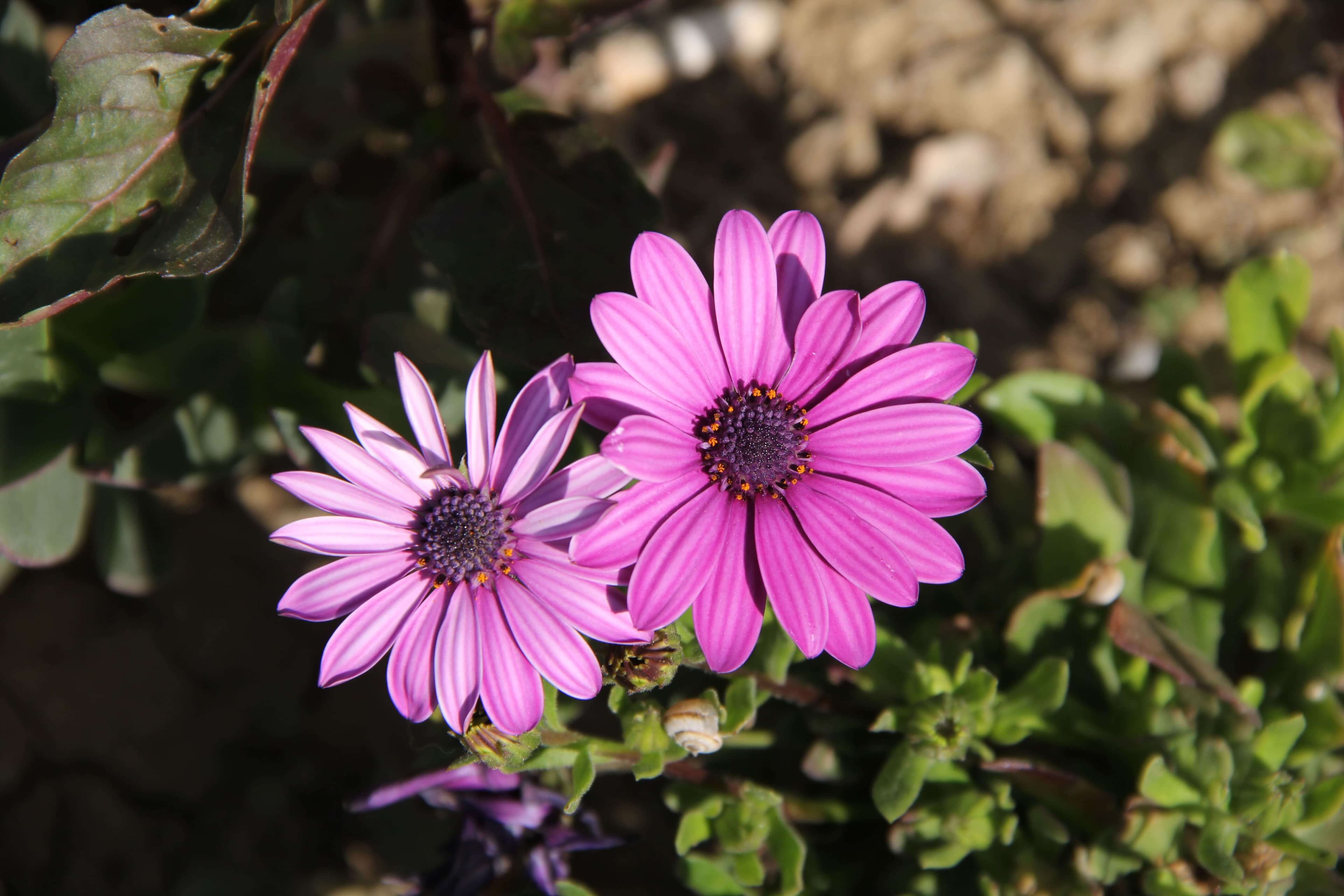 Baku Engineering University: Campus & Infrastructure Gallery 2025 - Image 30