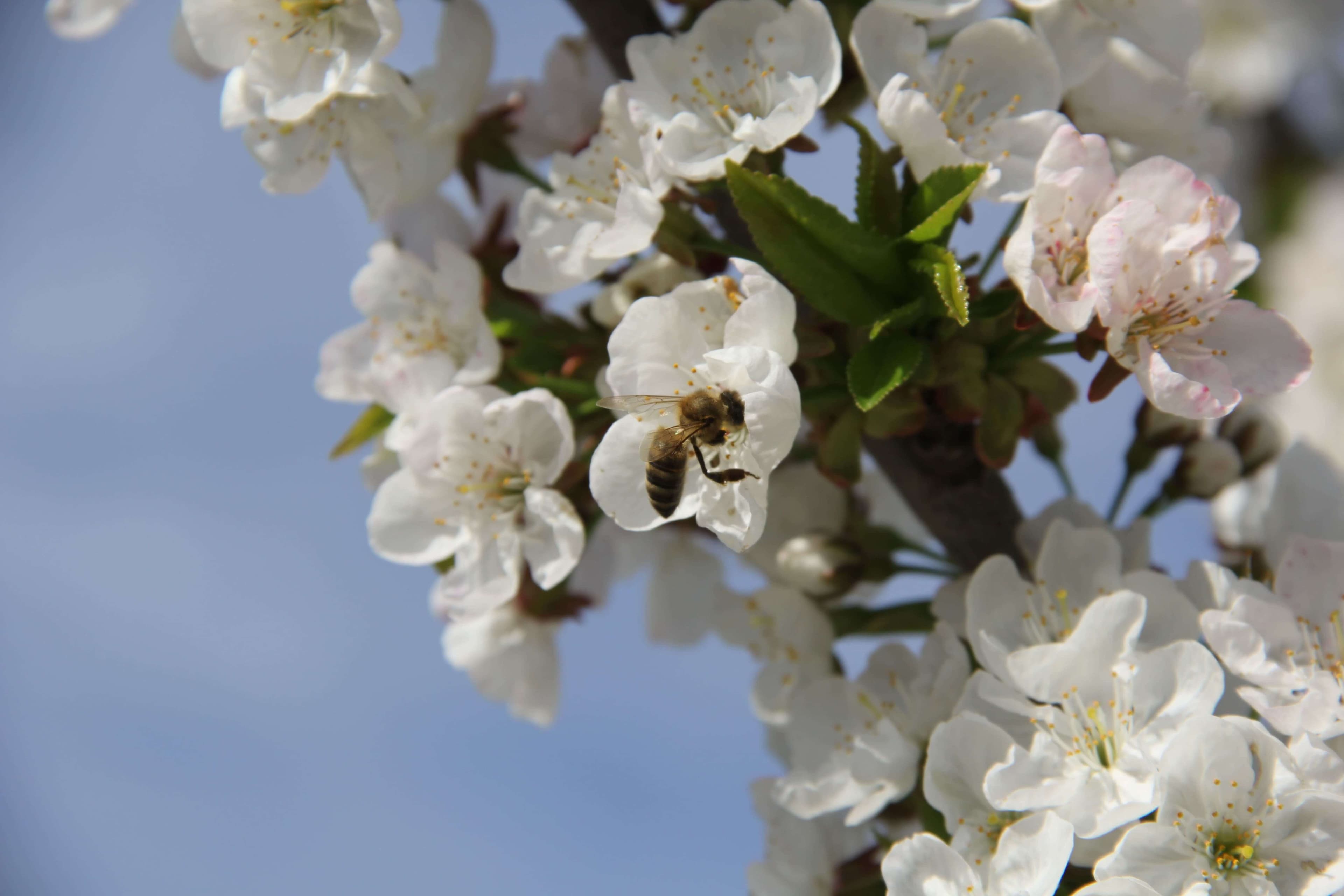 Baku Engineering University: Campus & Infrastructure Gallery 2025 - Image 31