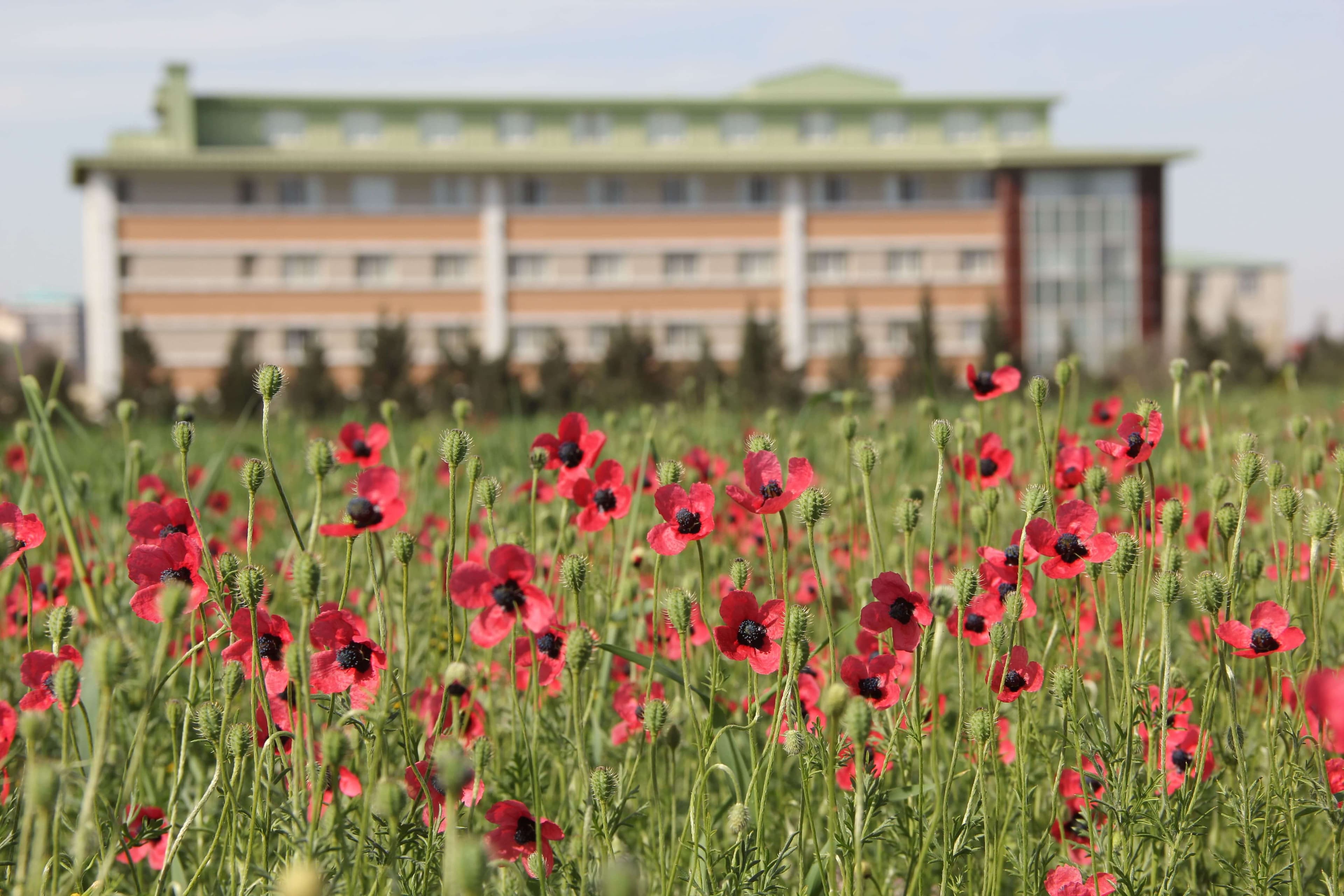 Baku Engineering University: Campus & Infrastructure Gallery 2025 - Image 32