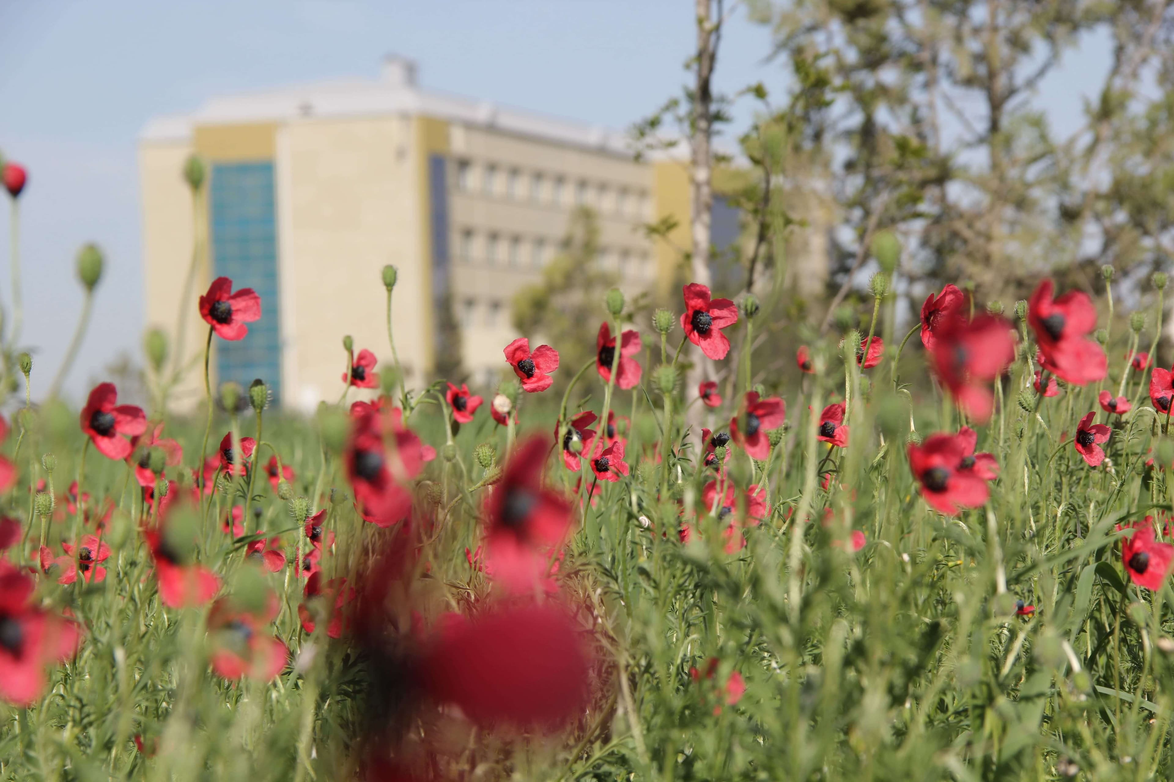 Baku Engineering University: Campus & Infrastructure Gallery 2025 - Image 33