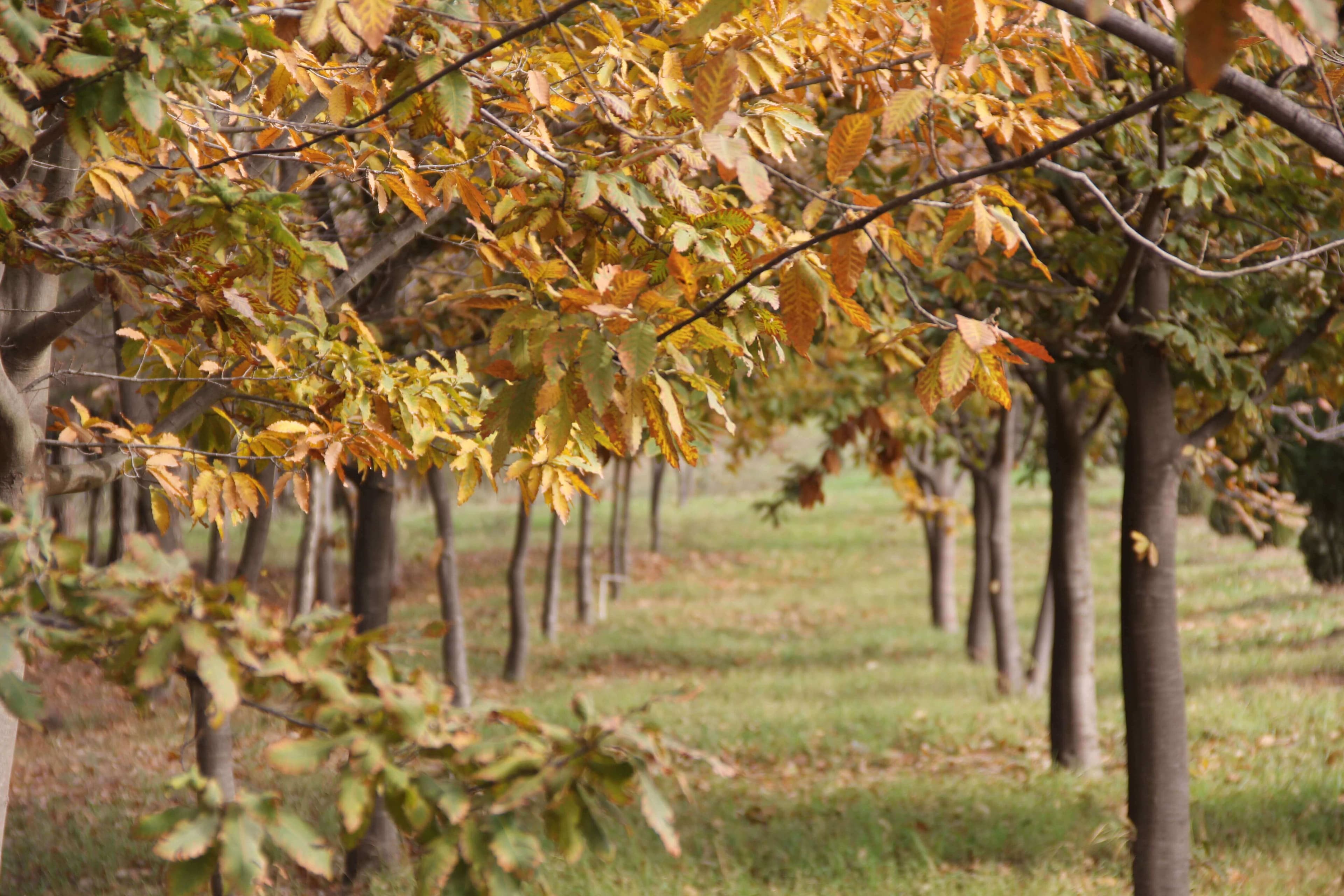 Baku Engineering University: Campus & Infrastructure Gallery 2025 - Image 14