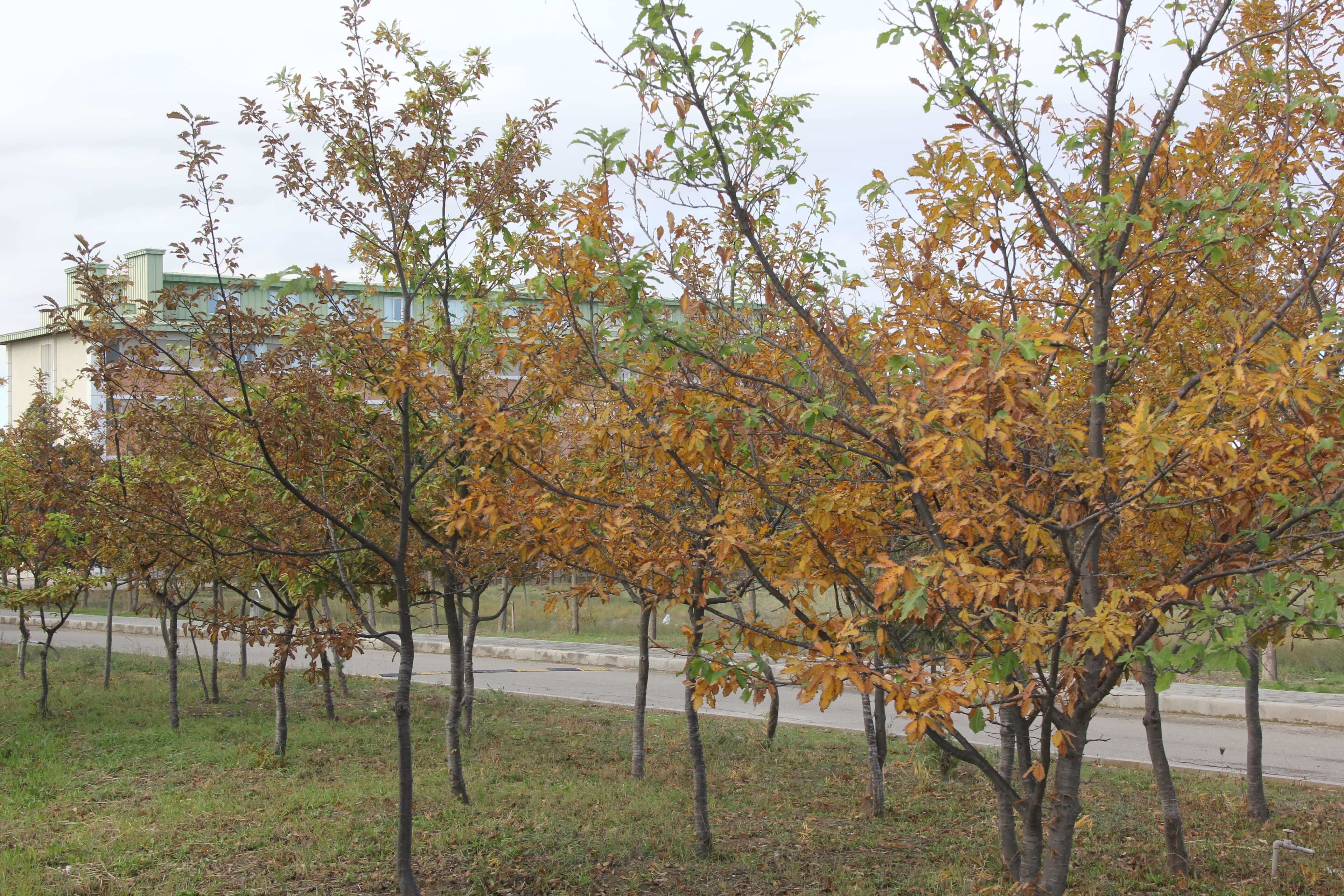 Baku Engineering University: Campus & Infrastructure Gallery 2025 - Image 15