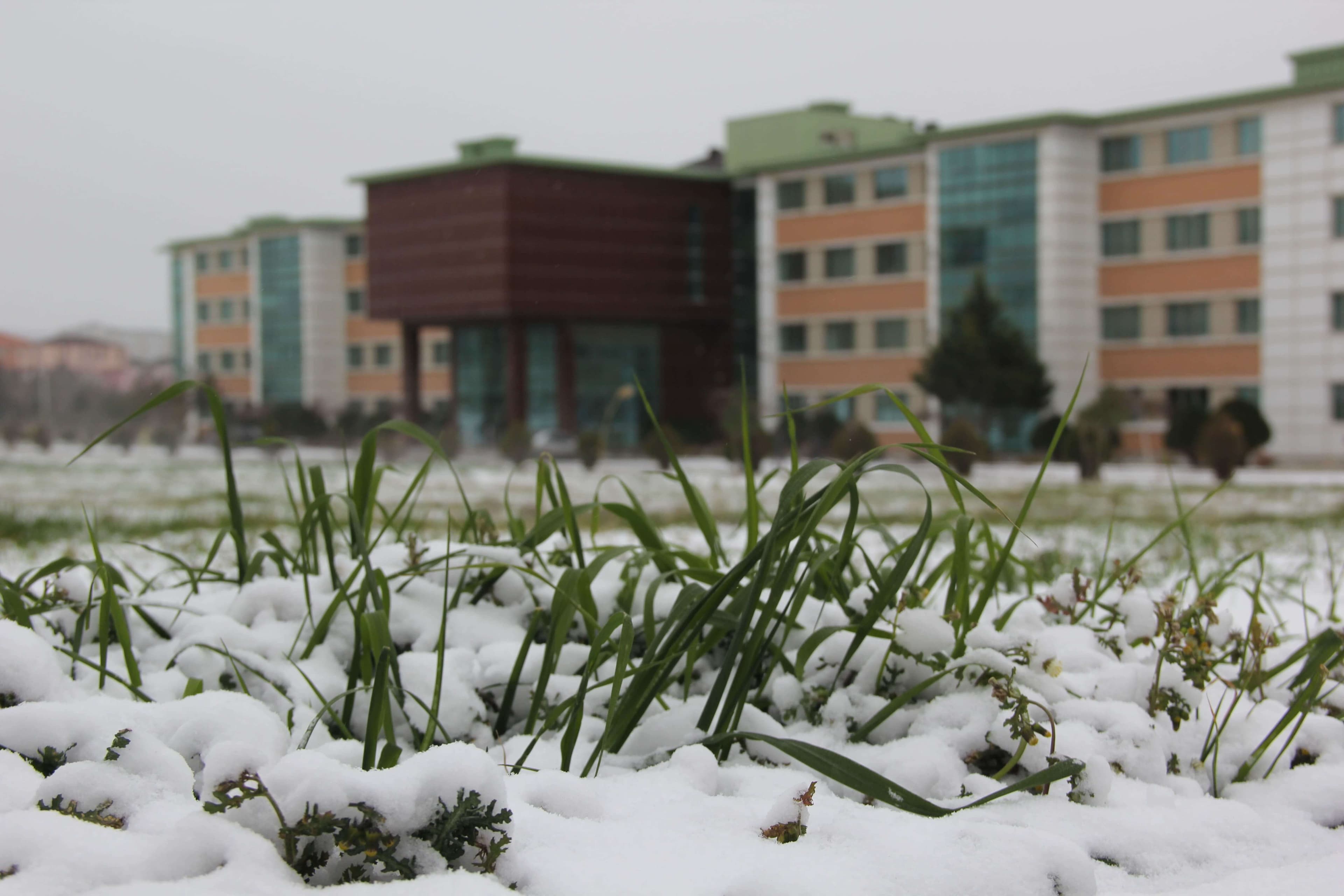 Baku Engineering University: Campus & Infrastructure Gallery 2025 - Image 47