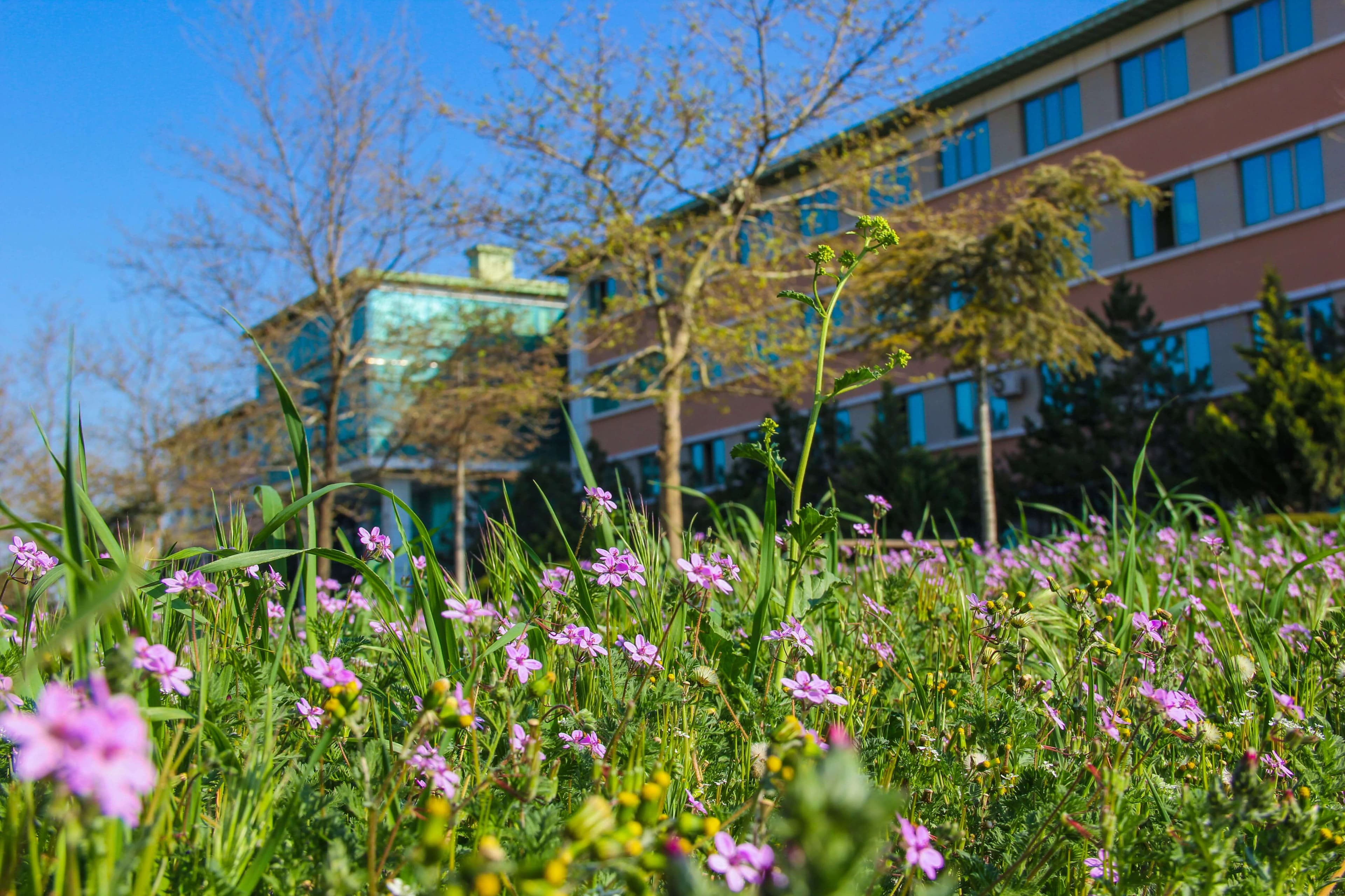 Baku Engineering University: Campus & Infrastructure Gallery 2025 - Image 34