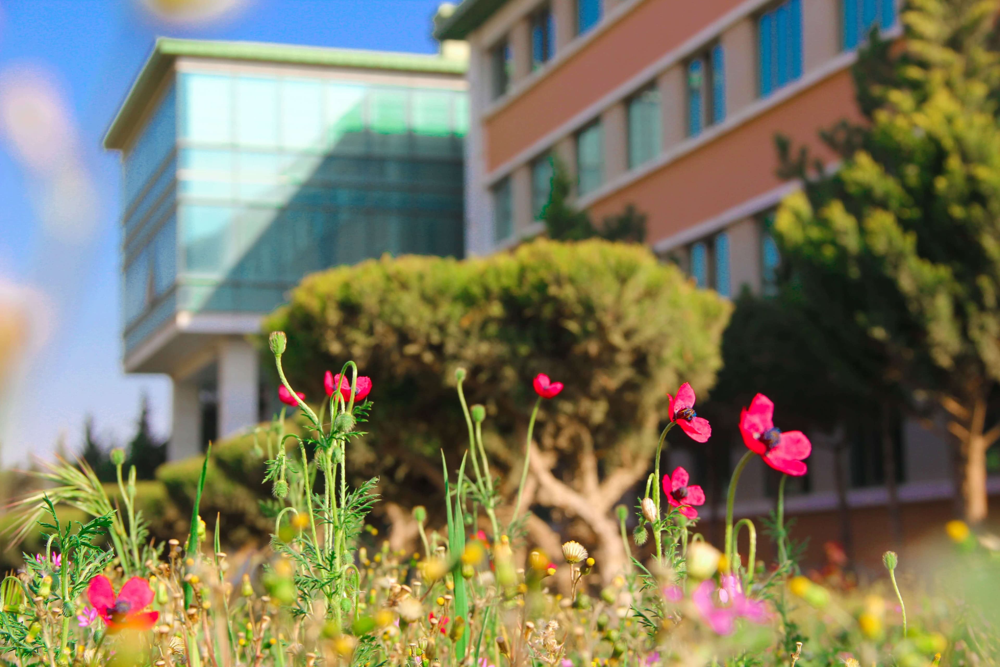 Baku Engineering University: Campus & Infrastructure Gallery 2025 - Image 35
