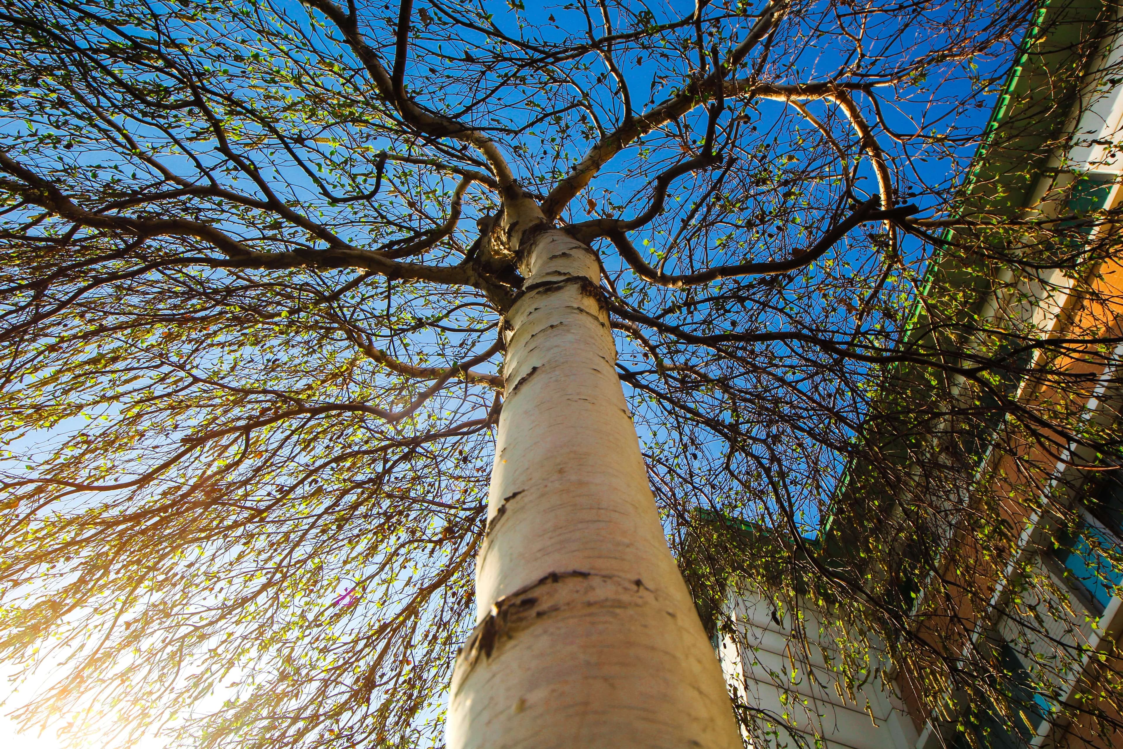 Baku Engineering University: Campus & Infrastructure Gallery 2025 - Image 36