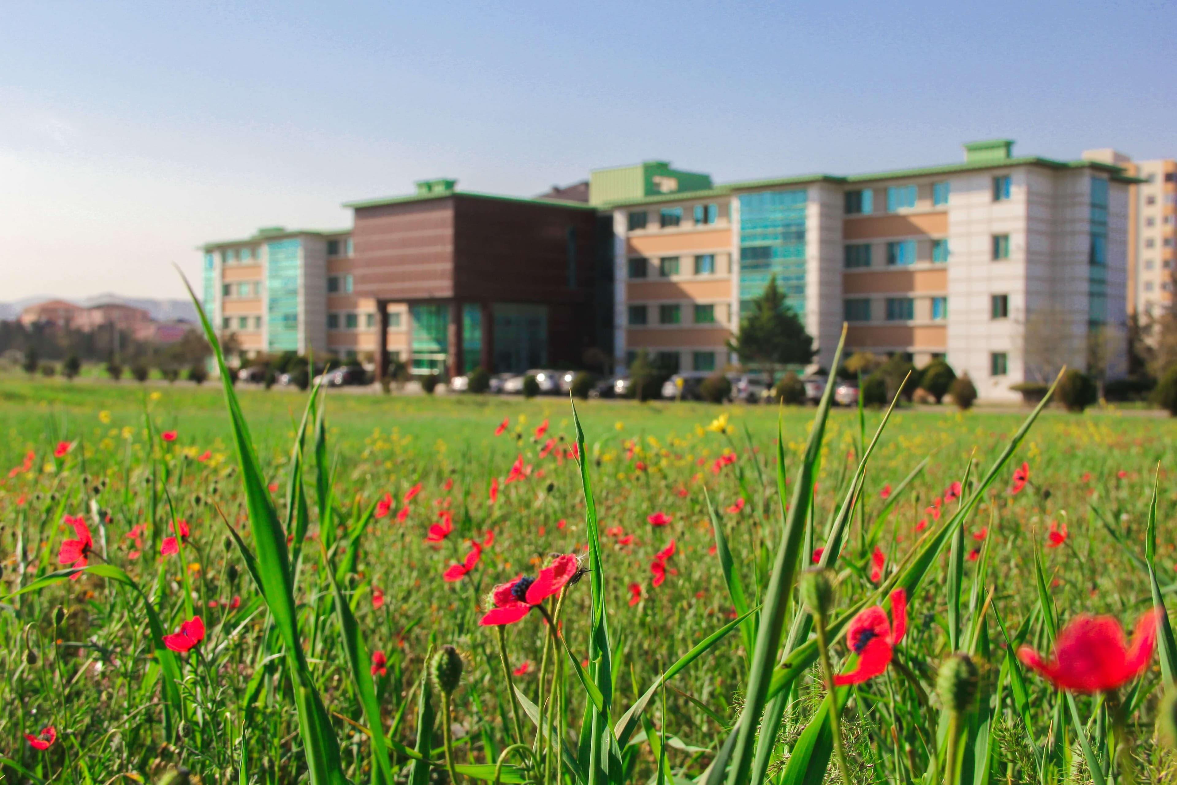 Baku Engineering University: Campus & Infrastructure Gallery 2025 - Image 37