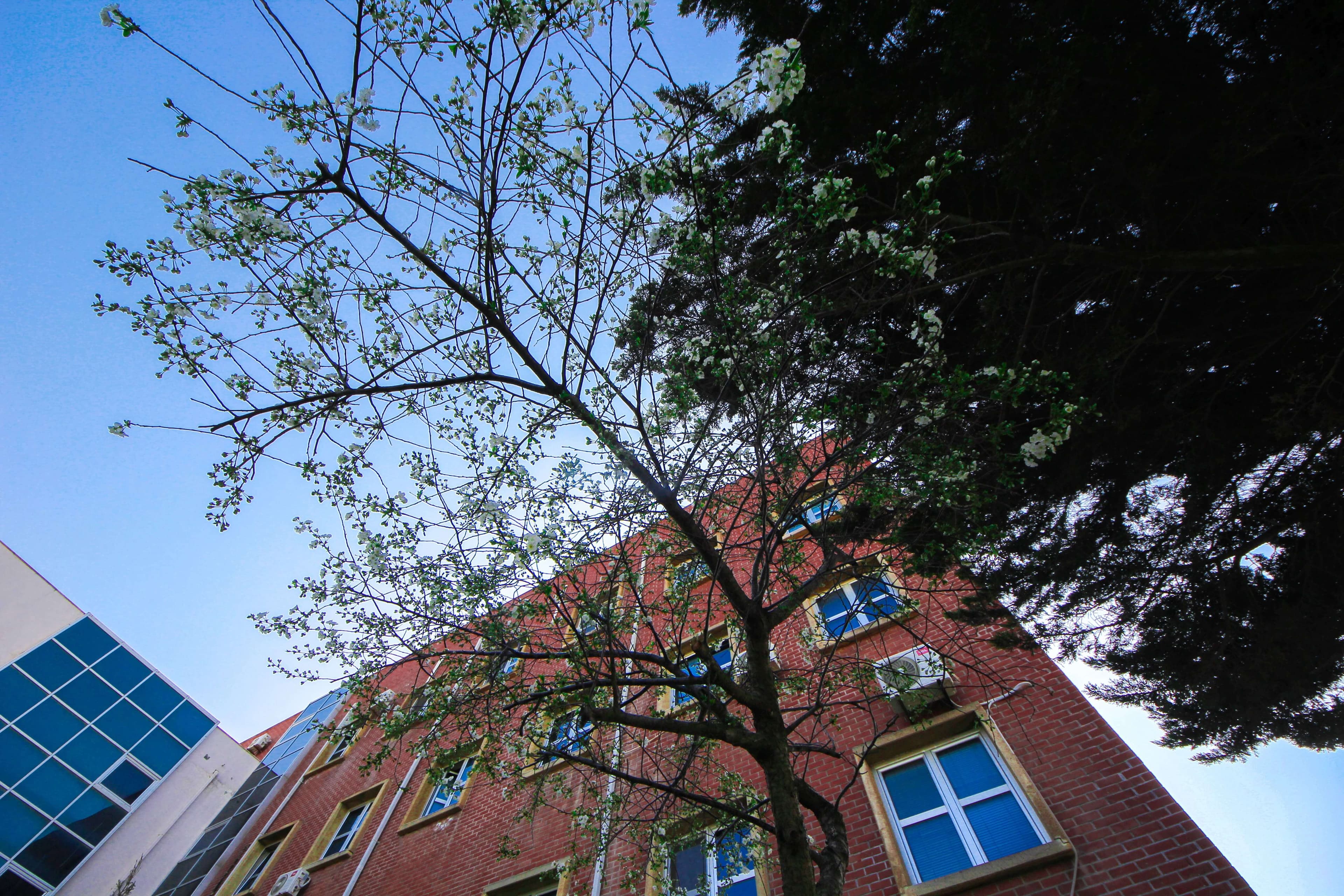 Baku Engineering University: Campus & Infrastructure Gallery 2025 - Image 38