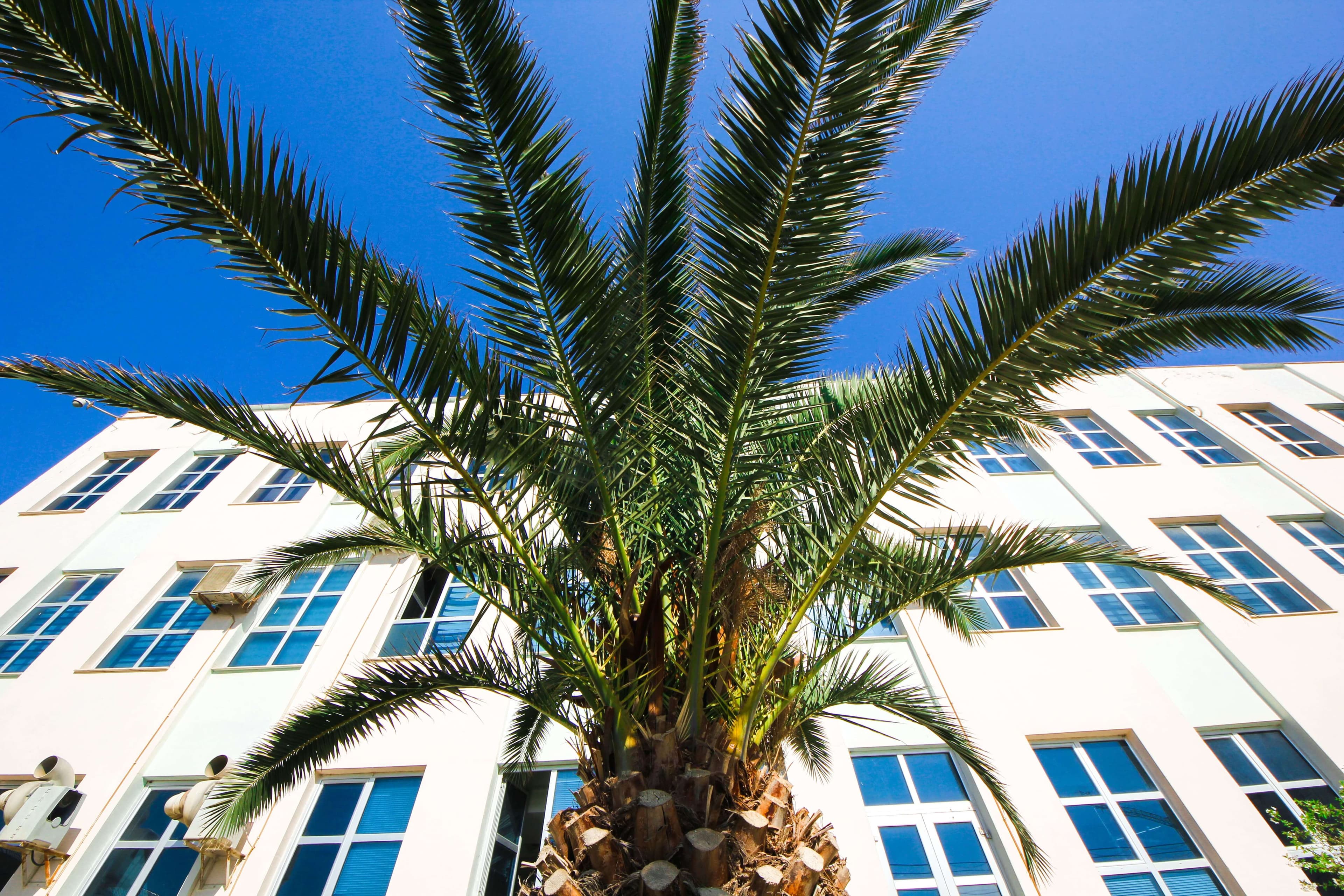 Baku Engineering University: Campus & Infrastructure Gallery 2025 - Image 39