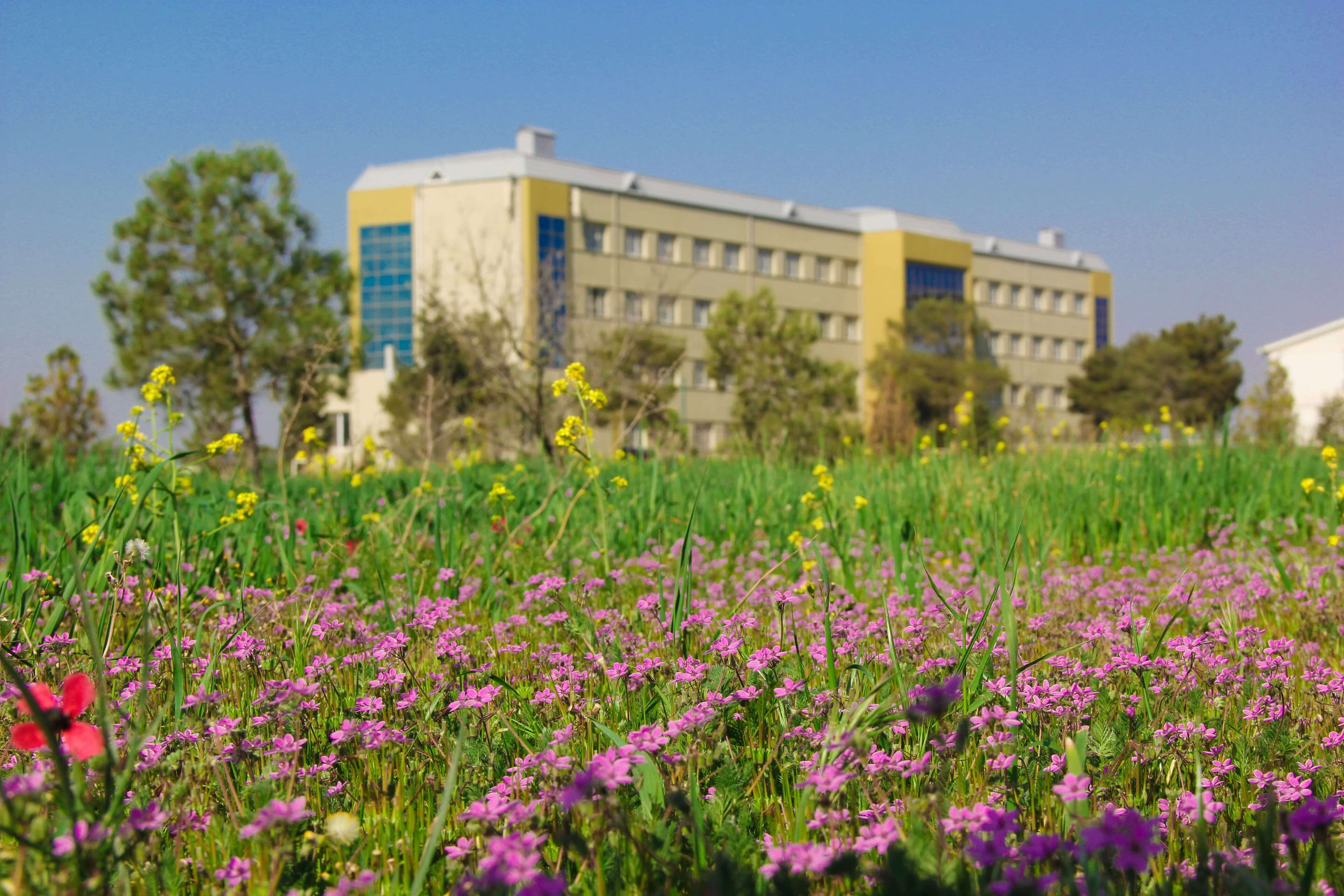 Baku Engineering University: Campus & Infrastructure Gallery 2025 - Image 40