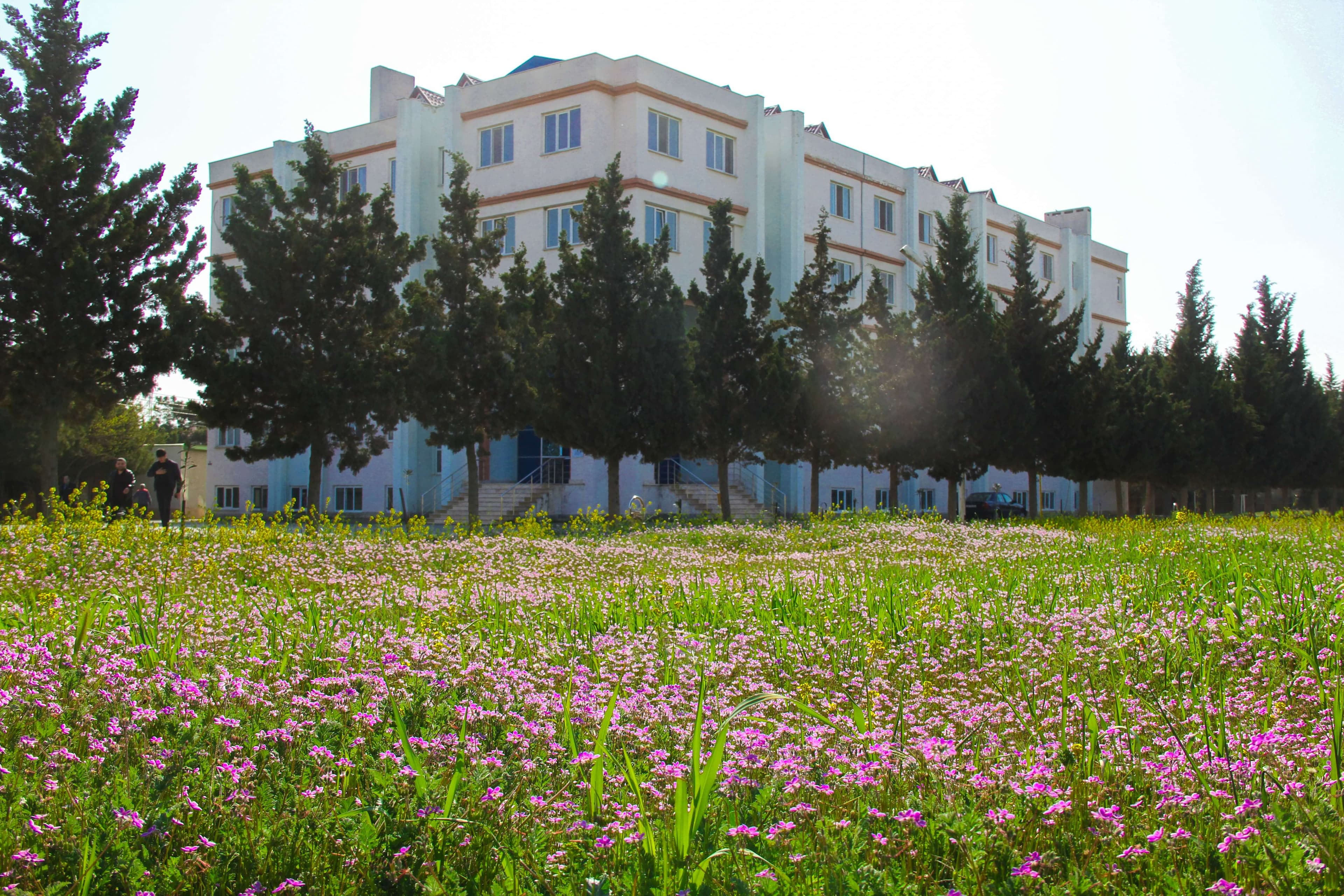 Baku Engineering University: Campus & Infrastructure Gallery 2025 - Image 41