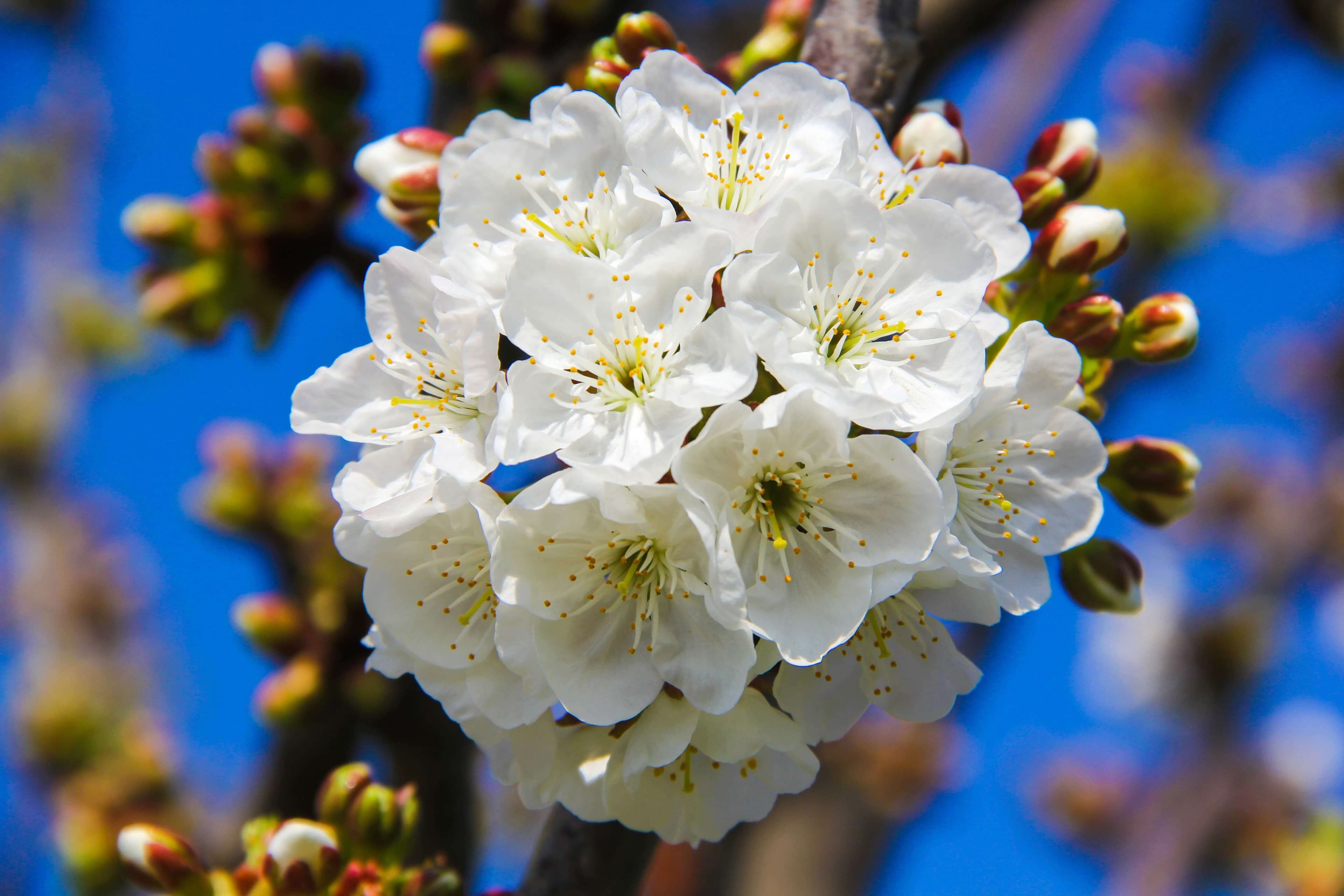 Baku Engineering University: Campus & Infrastructure Gallery 2025 - Image 42