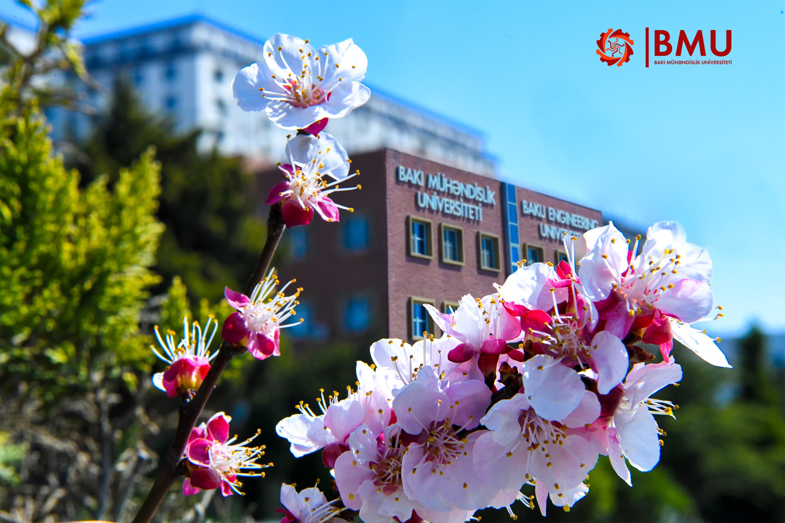 The breath of spring is felt on the BMU campus
