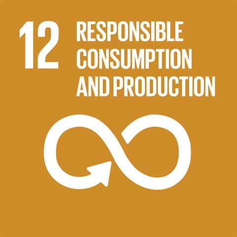 Report on SDG 12: Responsible Consumption and Production