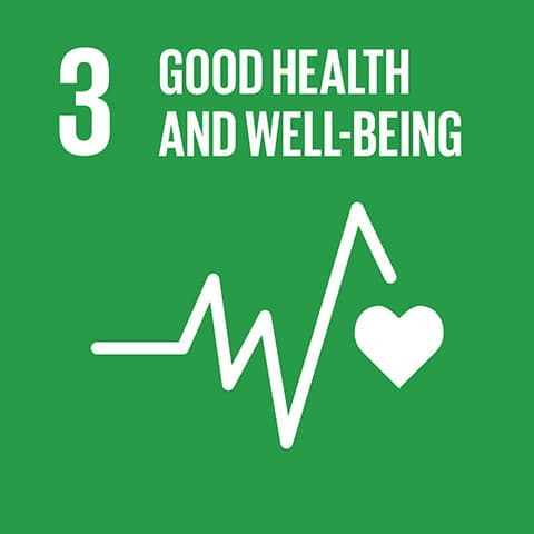 Report on SDG 3: Good Health and Well-being