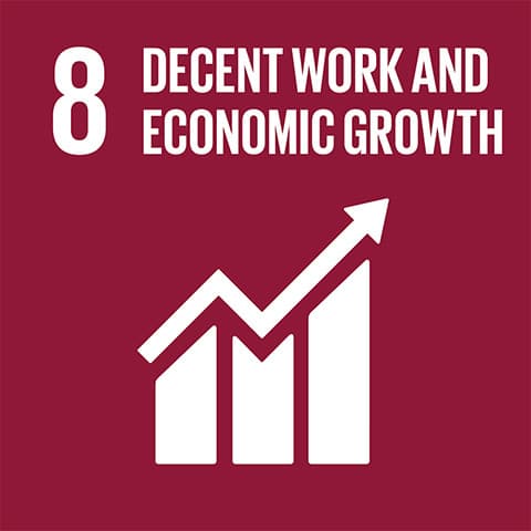 SDG 8: Decent Work and Economic Growth