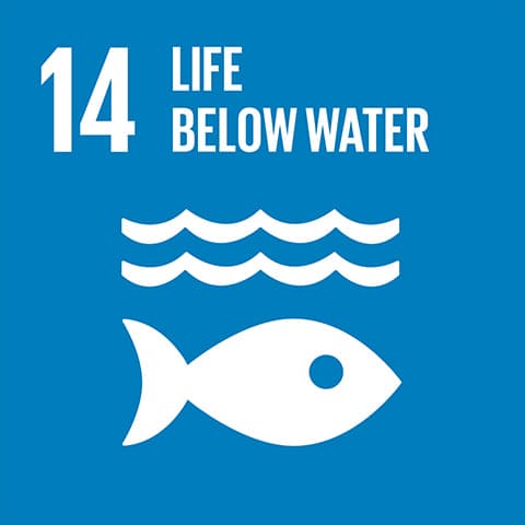 SDG 14: Life Below Water