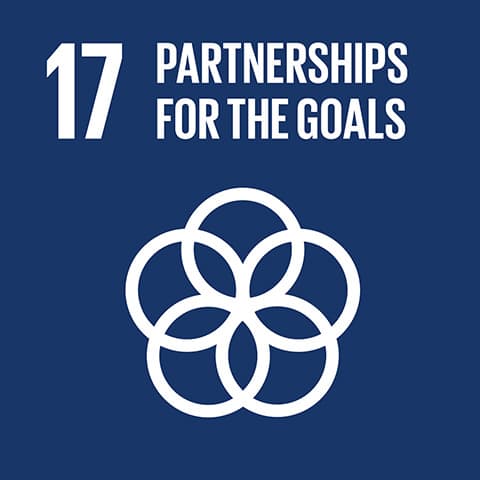 SDG 17: Partnership for the Goals